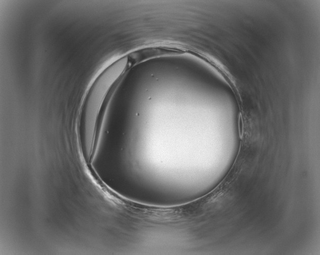 X0000079301007200612011745