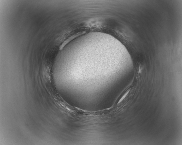 X0000079301010200612011744