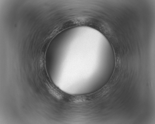 X0000079301012200612011744