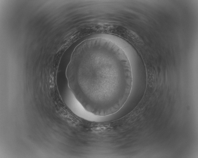 X0000079301013200612011744