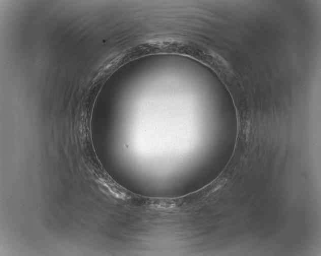 X0000079301014200612011744