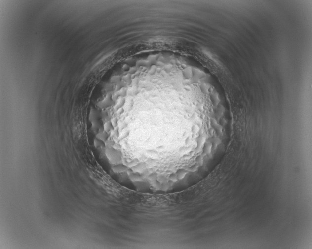 X0000079301015200612011744