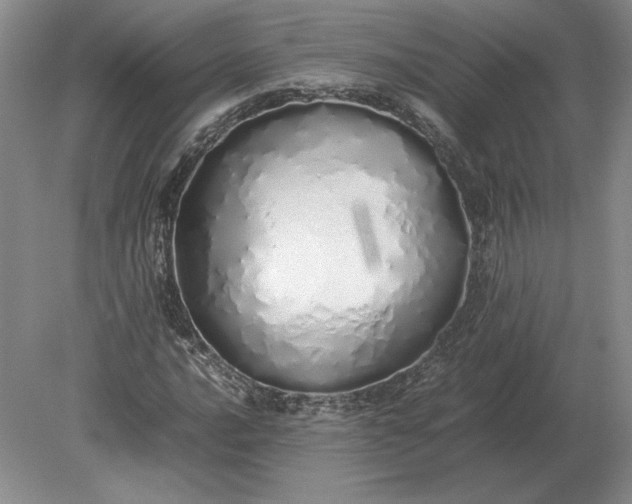 X0000079301016200612011744