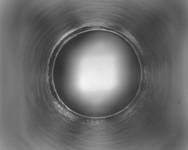 X0000079301020200612011744