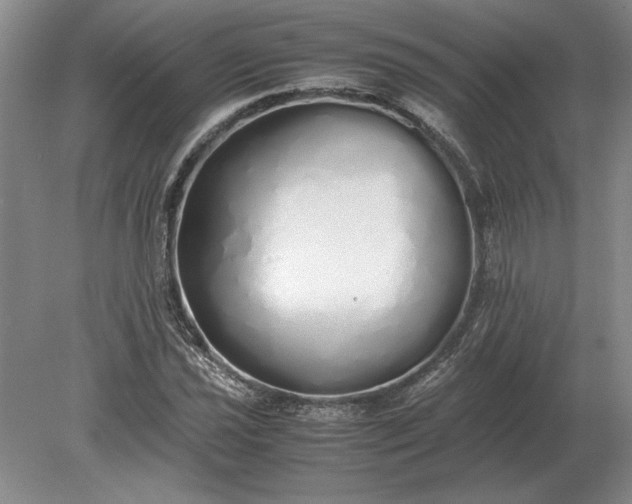 X0000079301021200612011744