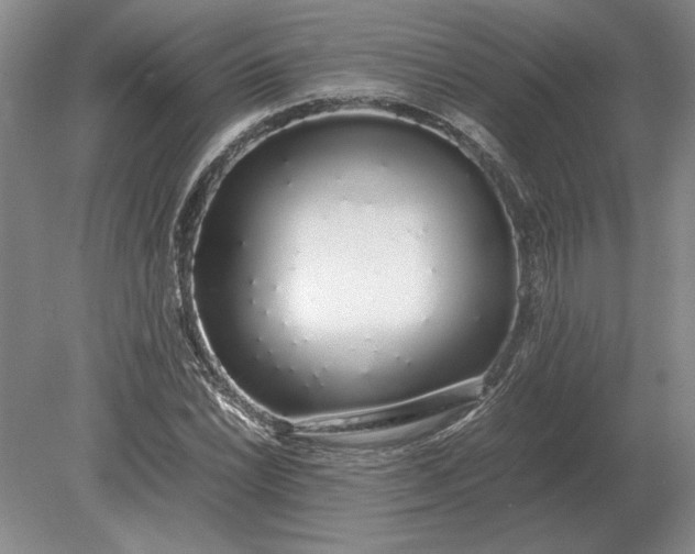 X0000079301022200612011744