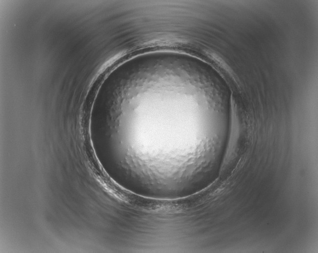 X0000079301026200612011744