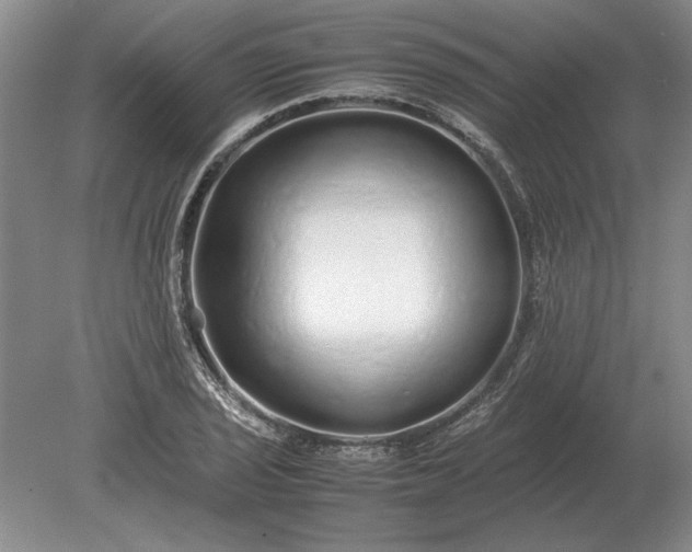 X0000079301029200612011744