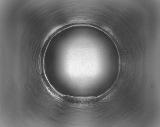 X0000079301030200612011744