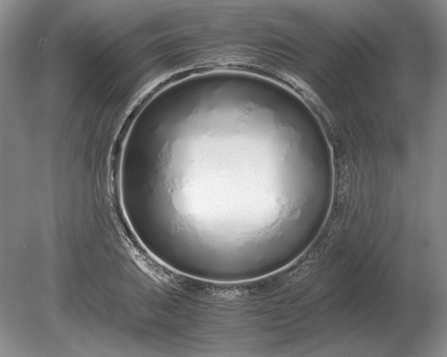X0000079301031200612011744