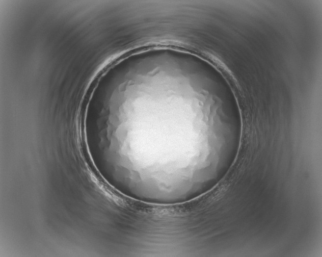 X0000079301032200612011744