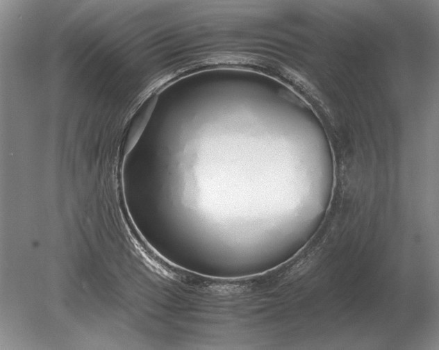 X0000079301033200612011744