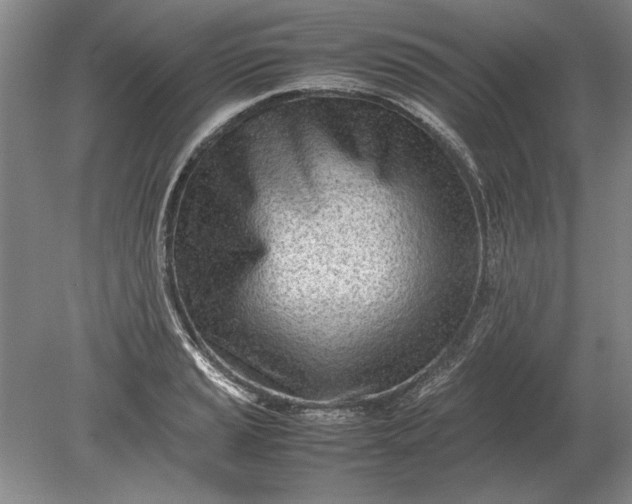 X0000079301037200612011744