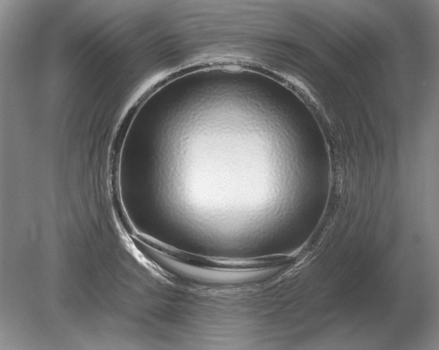X0000079301038200612011744