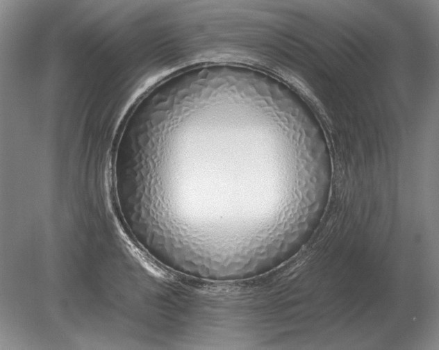 X0000079301040200612011744