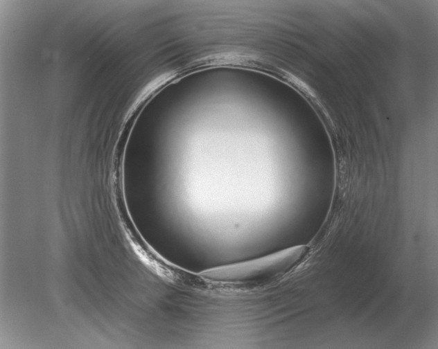 X0000079301042200612011744