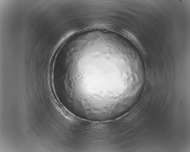 X0000079301043200612011744