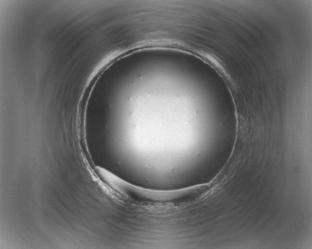 X0000079301046200612011745