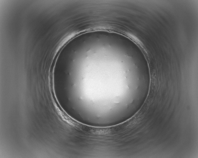 X0000079301047200612011745
