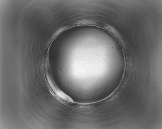 X0000079301049200612011745