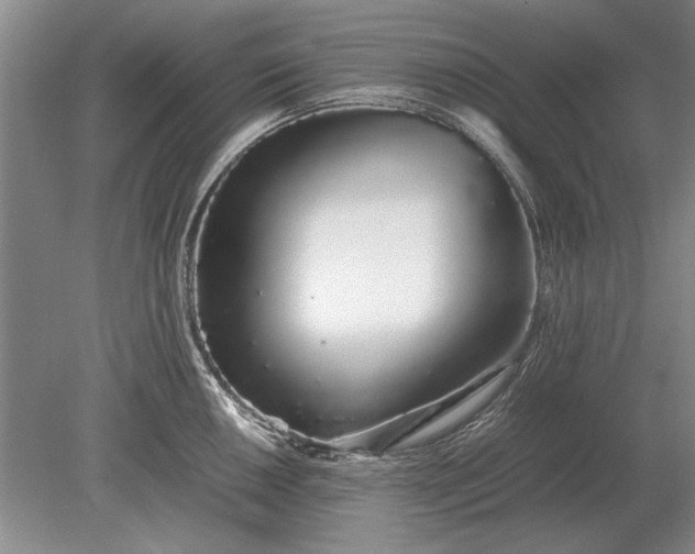 X0000079301050200612011745