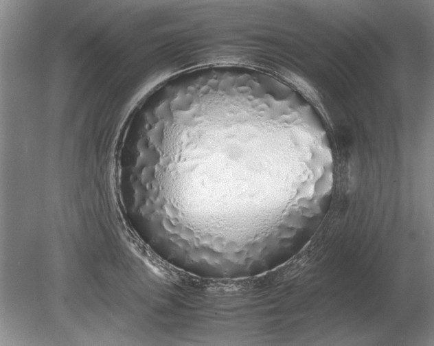 X0000079301051200612011745
