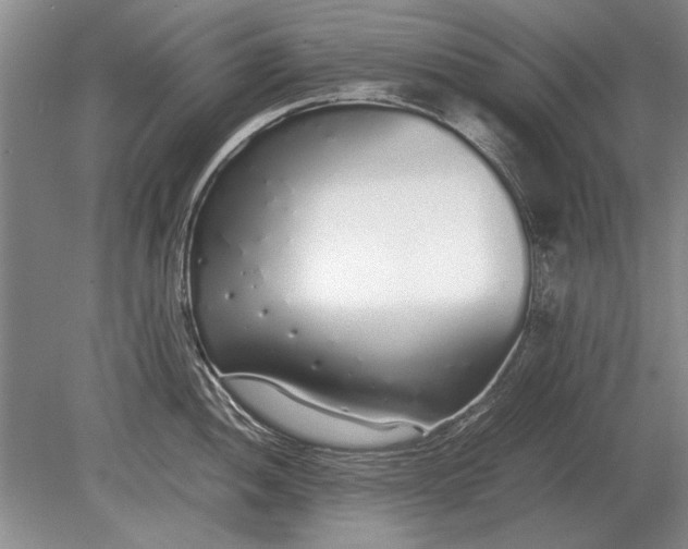 X0000079301052200612011745