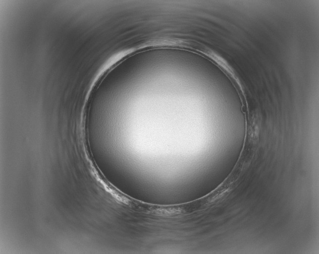 X0000079301053200612011745
