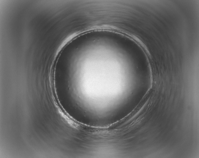 X0000079301054200612011745