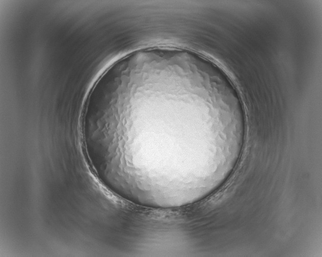 X0000079301056200612011745
