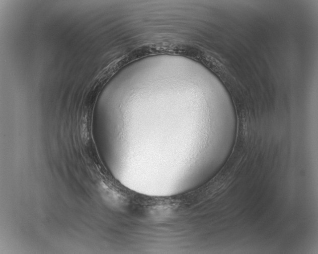 X0000079301060200612011744