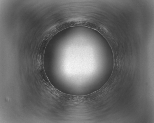 X0000079301062200612011744