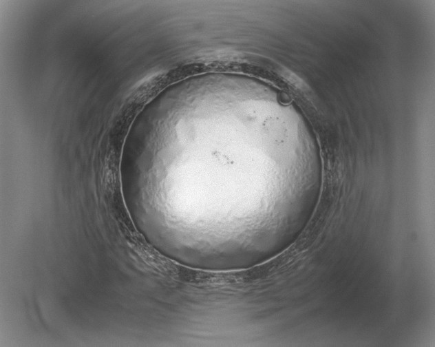 X0000079301063200612011744