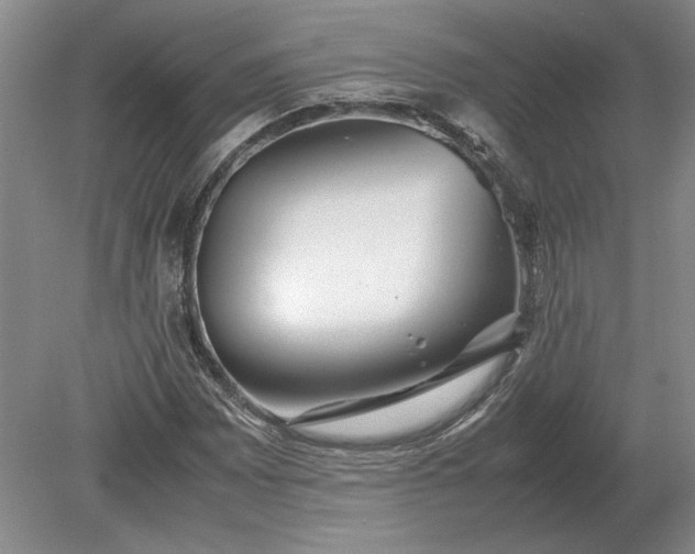X0000079301065200612011744