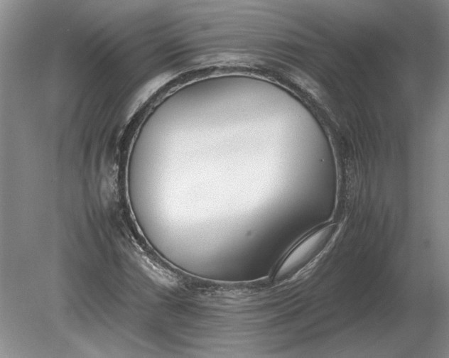 X0000079301066200612011744