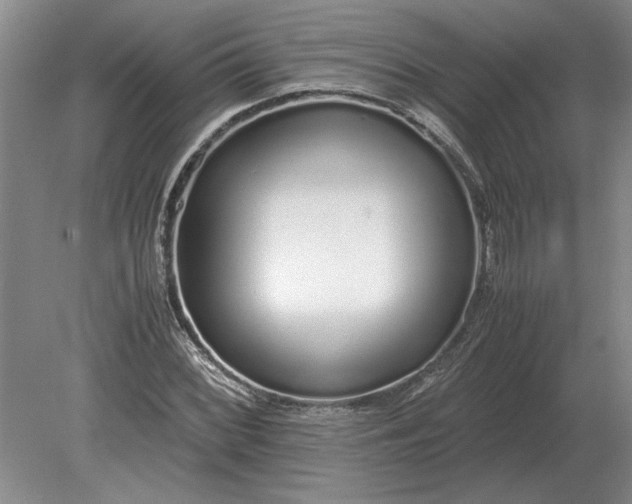 X0000079301068200612011744