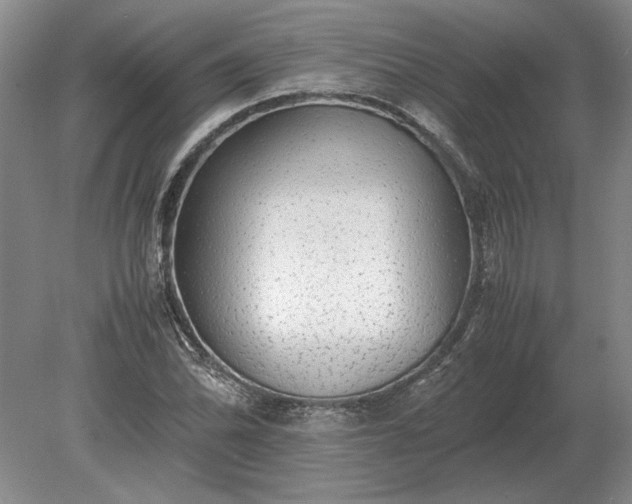 X0000079301070200612011744