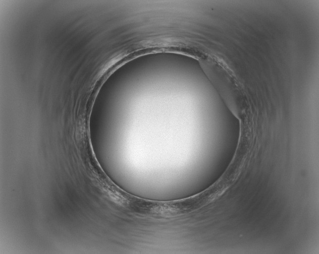 X0000079301073200612011744