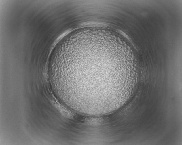 X0000079301074200612011744