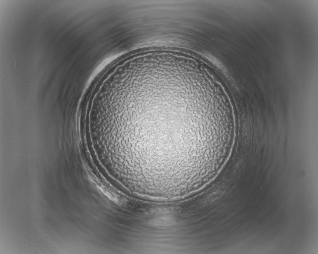 X0000079301078200612011744
