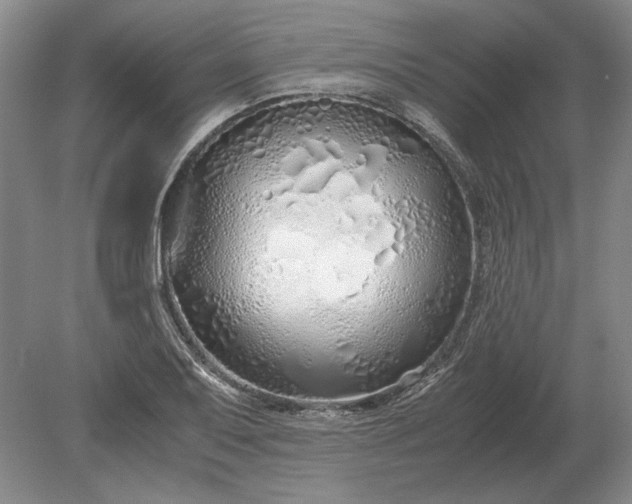 X0000079301079200612011744