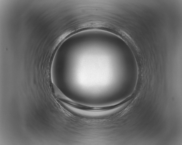 X0000079301081200612011743