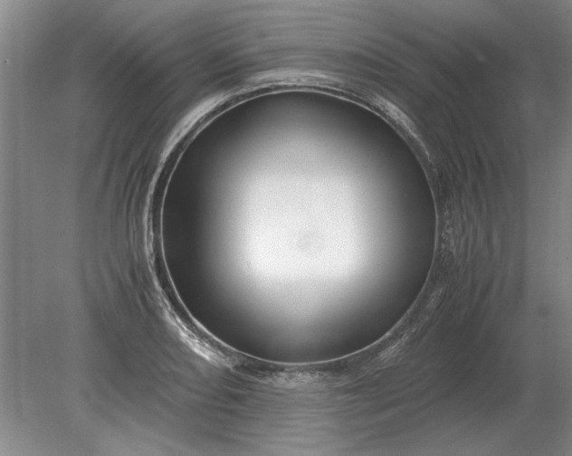 X0000079301082200612011743
