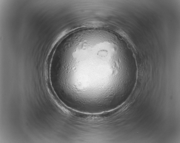 X0000079301083200612011743