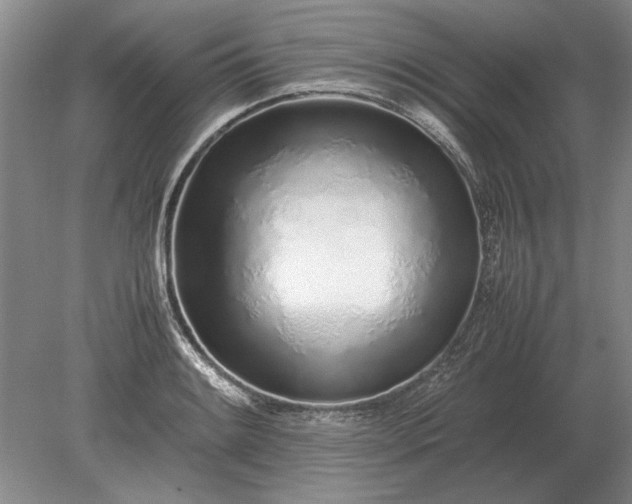 X0000079301084200612011743