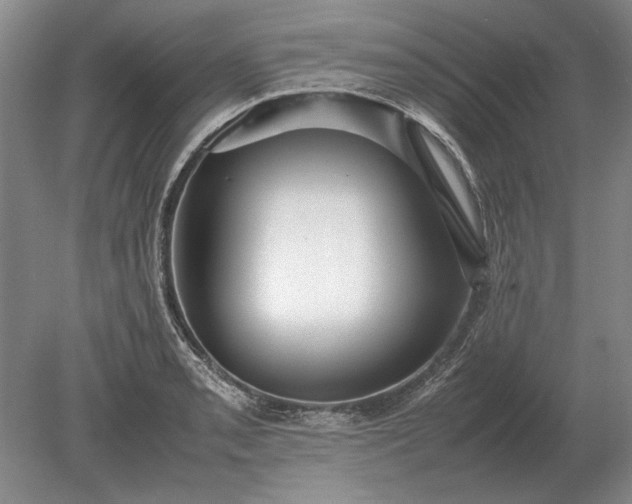 X0000079301085200612011743