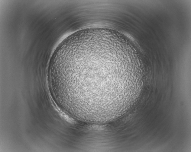X0000079301086200612011743