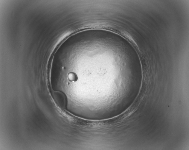 X0000079301087200612011743