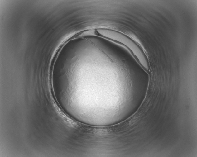 X0000079301088200612011743
