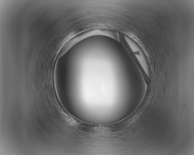 X0000079301089200612011743